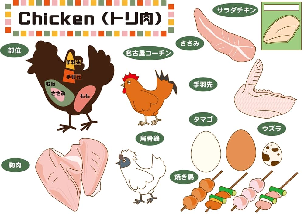 鶏肉の安い部位は 部位別の値段や栄養 特徴をイラスト付きで解説 食べ物info