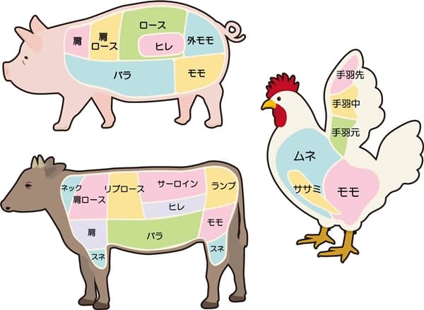 鶏肉の安い部位は 部位別の値段や栄養 特徴をイラスト付きで解説 食べ物info