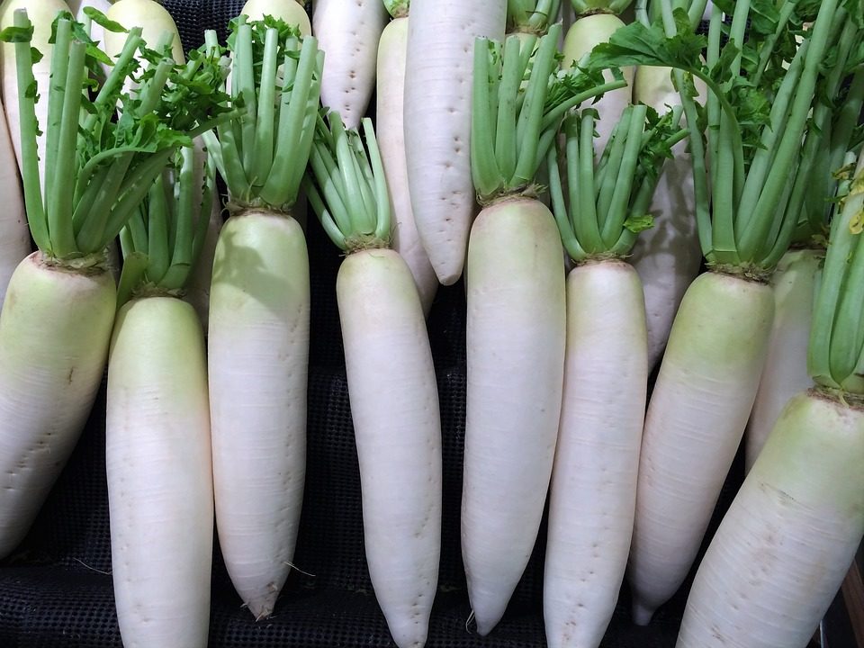 大根の中に穴があいているのは食べれる 表面の穴は虫のせい 食べ物info