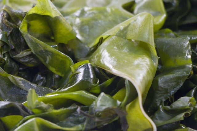 塩蔵わかめの賞味期限は 賞味期限切れはいつまで食べれる 食べ物info